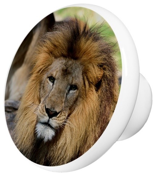 Lion Head Ceramic Cabinet Drawer Knob