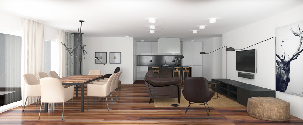 Zurich New Apartment