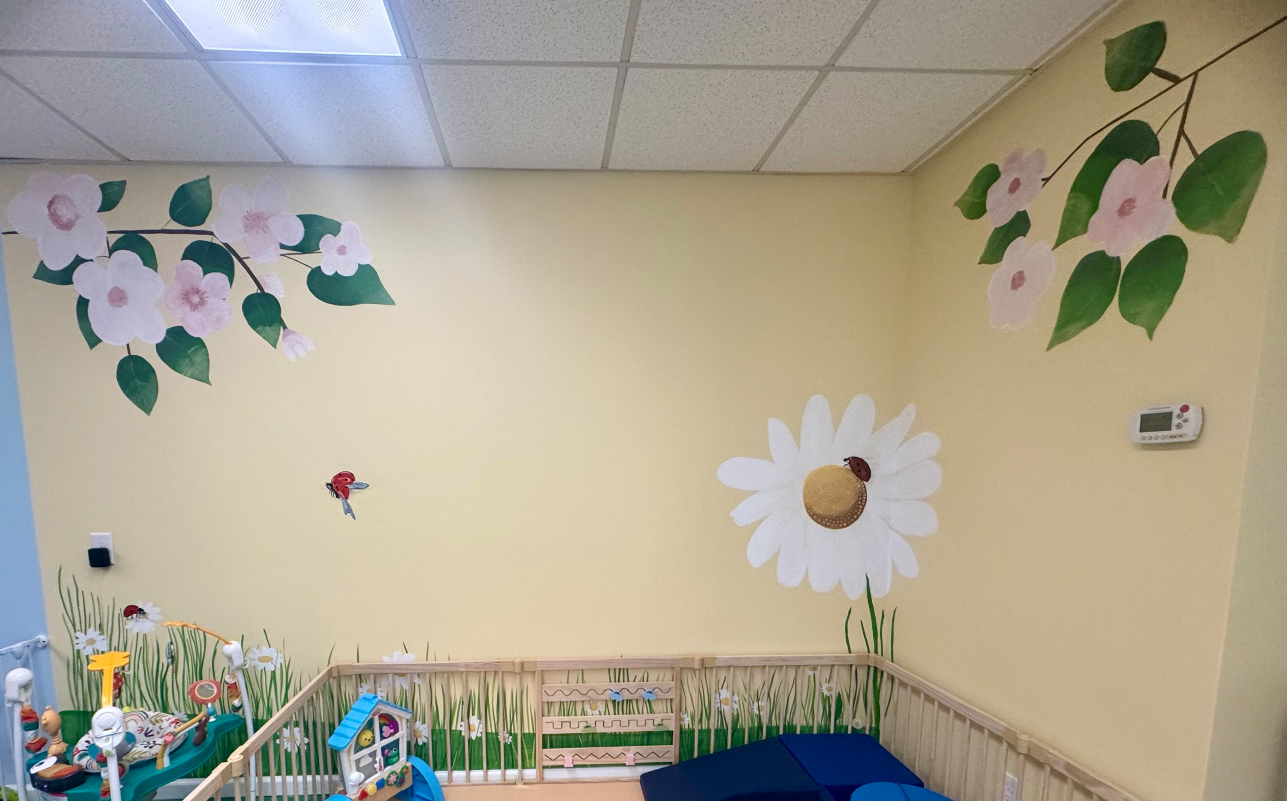 Murals and Decorative Painting