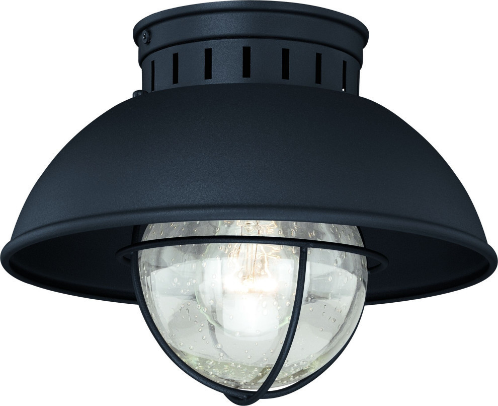 Harwich 10" Outdoor Flush Mount Ceiling Light Textured Black