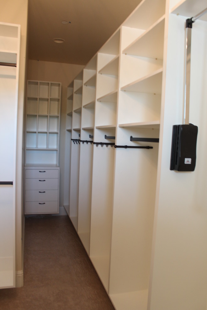 Design ideas for a mid-sized contemporary gender-neutral walk-in wardrobe in Sacramento with open cabinets and white cabinets.