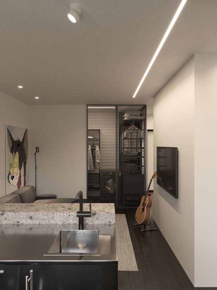 кухня-гостиная (вид от окна).jpeg