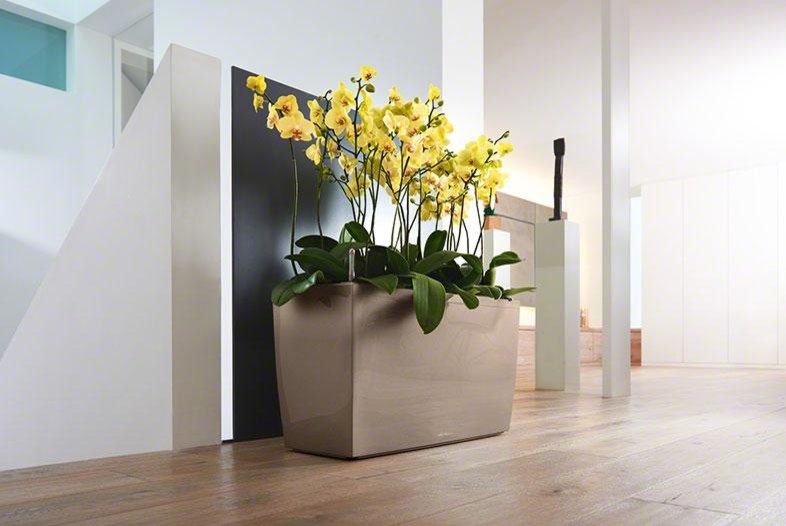 На вершине моды!