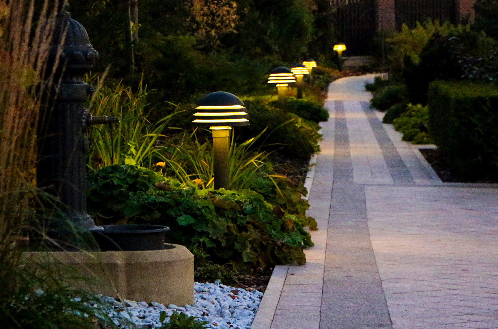 Горки-10, ночной сад, 2017-2020 гг.