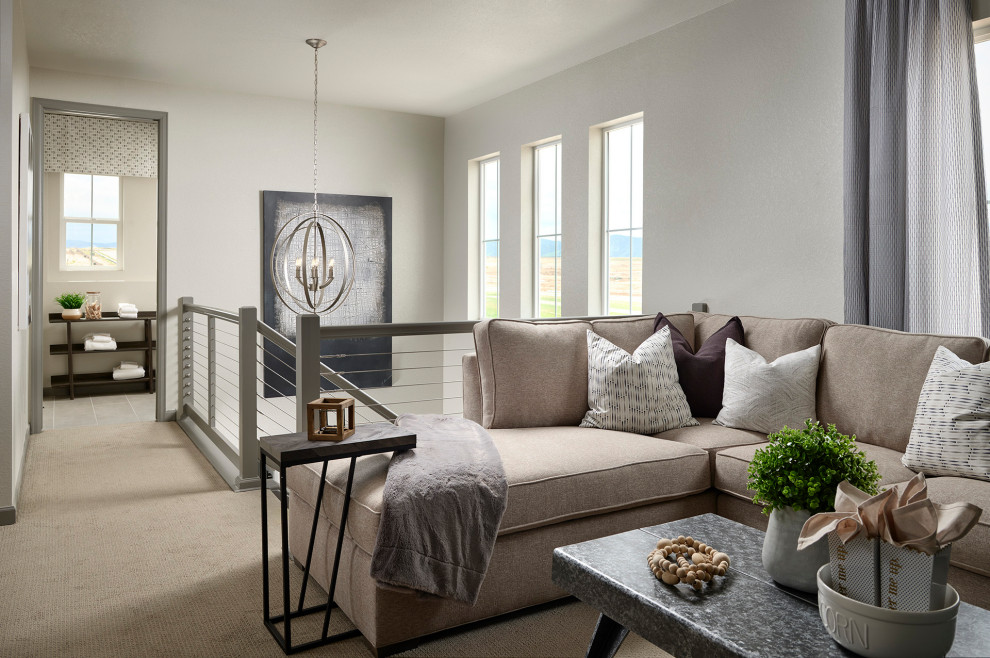 Transitional home design photo in Denver