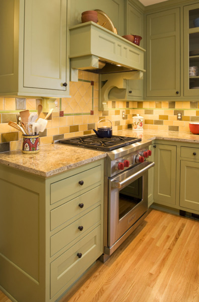 Transitional kitchen photo in Minneapolis