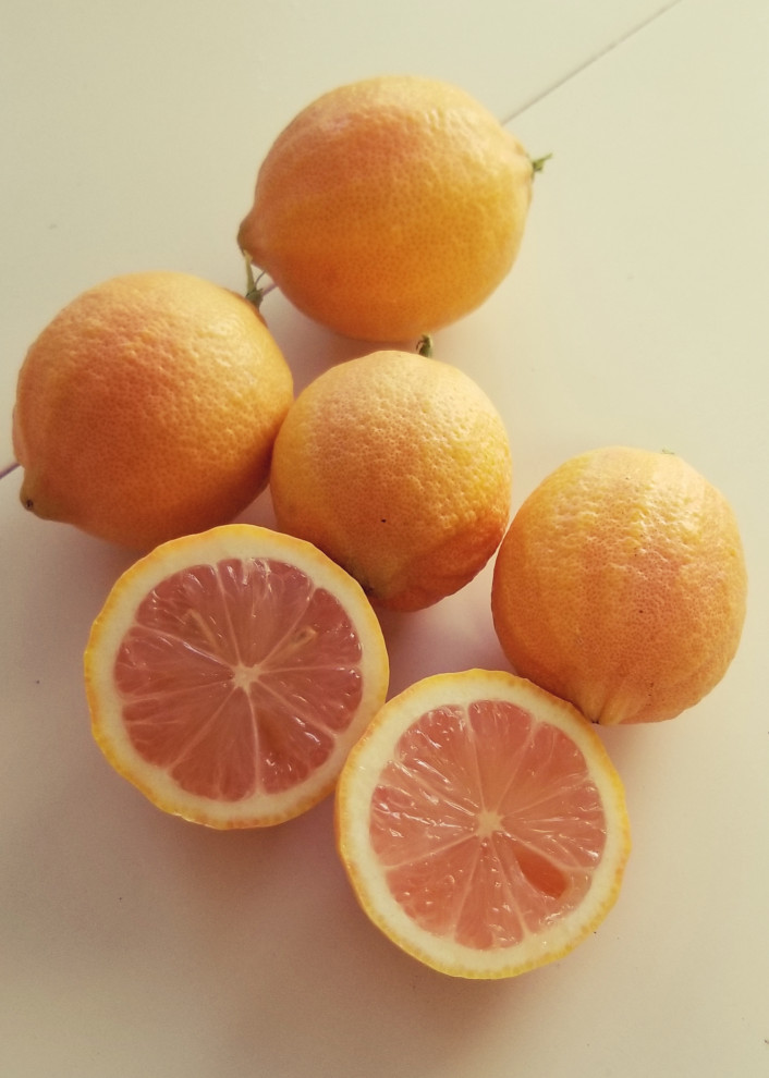 Variegated Pink Eureka Lemons