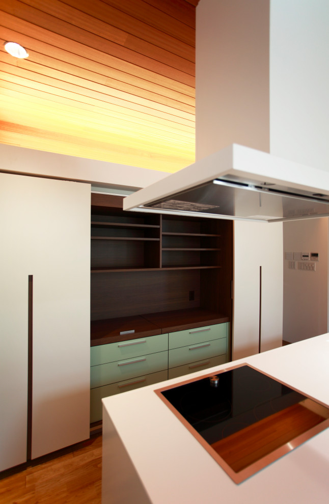 Свежая идея для дизайна: прямая кухня-гостиная в стиле модернизм с монолитной мойкой, плоскими фасадами, столешницей из акрилового камня, островом и белой столешницей - отличное фото интерьера