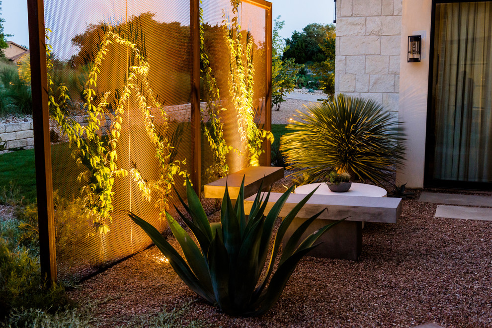 Inspiration for a small contemporary courtyard full sun xeriscape in Austin with gravel and with privacy feature.