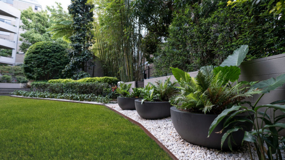 This is an example of an expansive contemporary backyard partial sun formal garden in Sydney with river rock.
