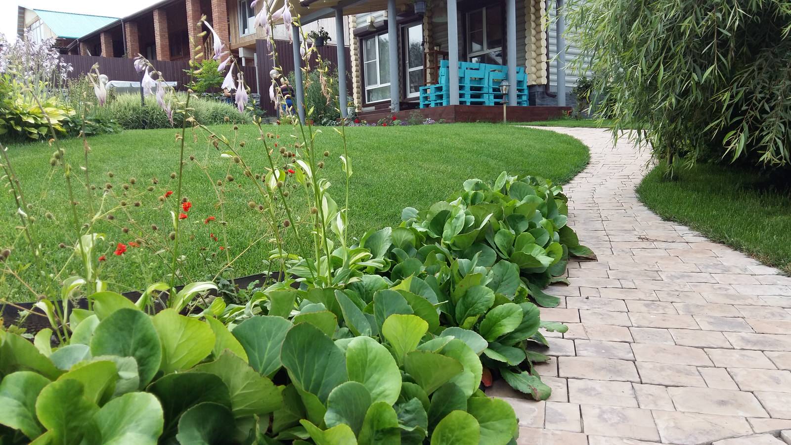 Уютный сад на берегу реки