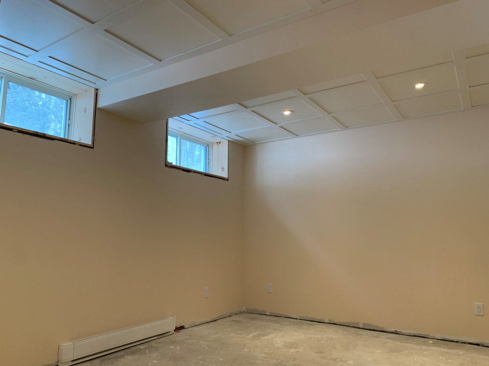 Basement Renovation