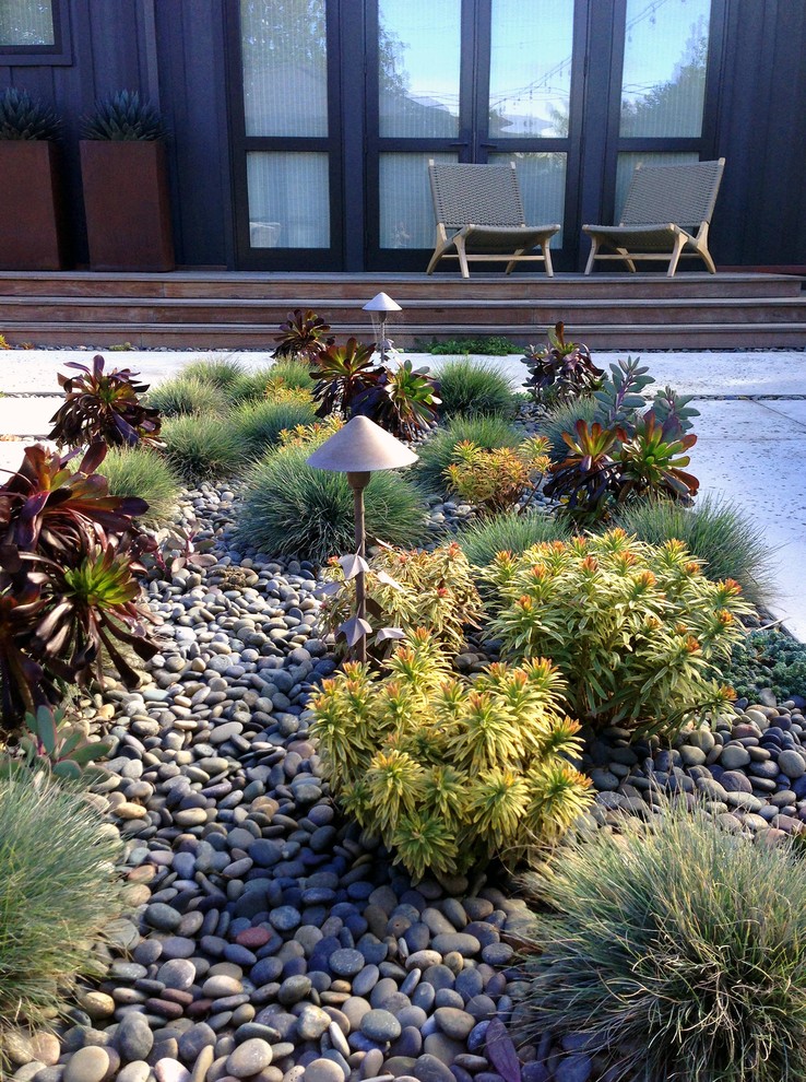 This is an example of a mid-sized beach style courtyard full sun xeriscape in San Francisco with a garden path and gravel.