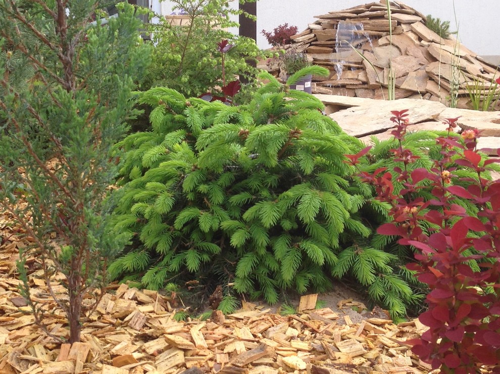 Садовый пруд в африканском стиле