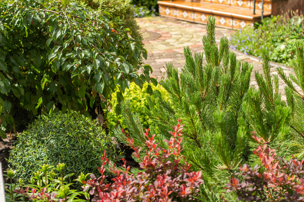 Сад с зеленой крышей