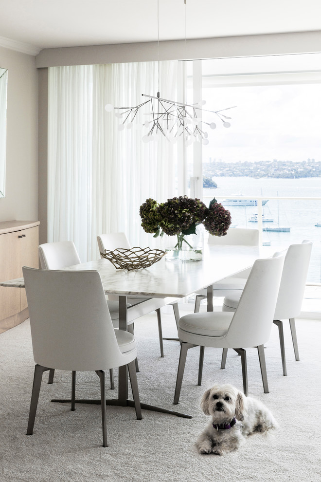 This is an example of a contemporary dining room in Sydney with grey walls, carpet and white floor.