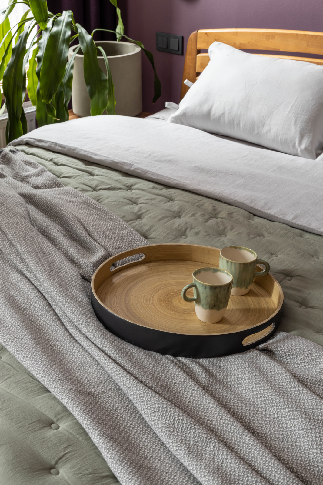 квартира с попугаями