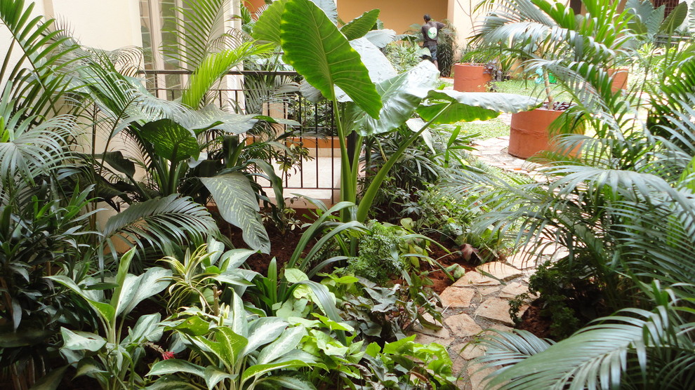 This is an example of a contemporary garden in Chennai.