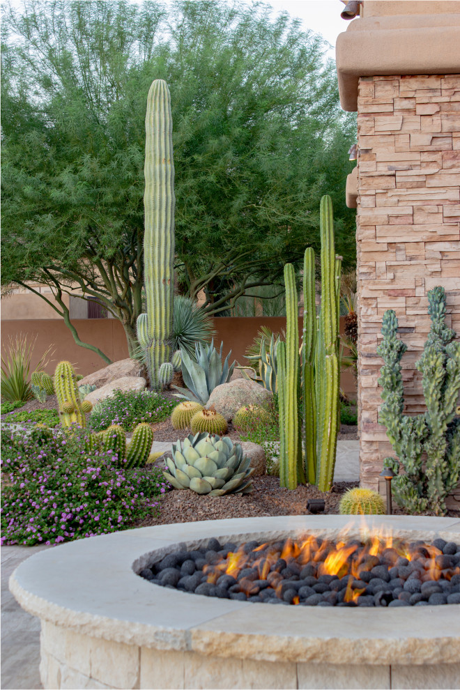 Inspiration for a large southwestern backyard landscaping in Phoenix.