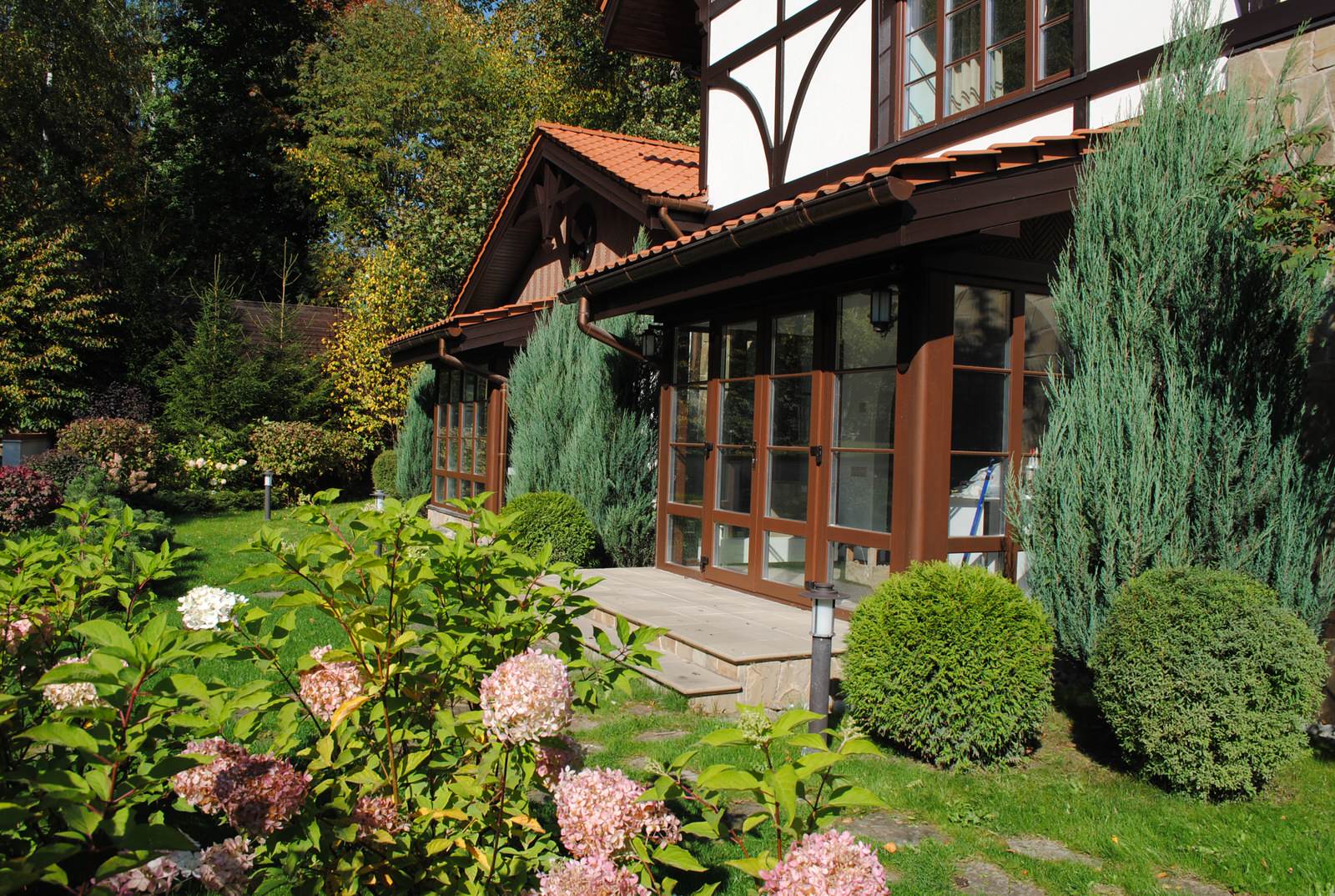 Осенний лес.Дмитровское шоссе