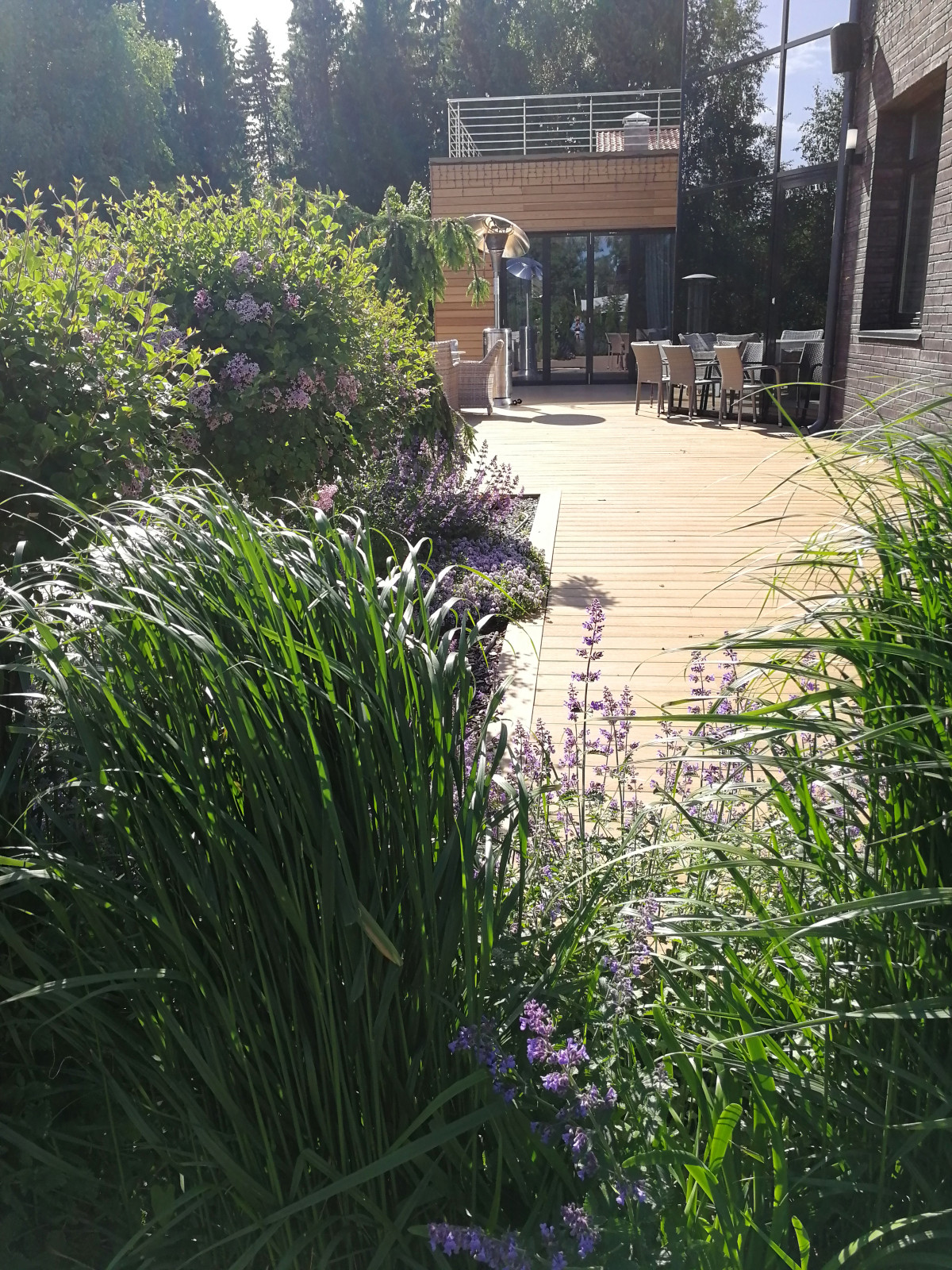 Благоустройство участка 20 соток в КП Пестово