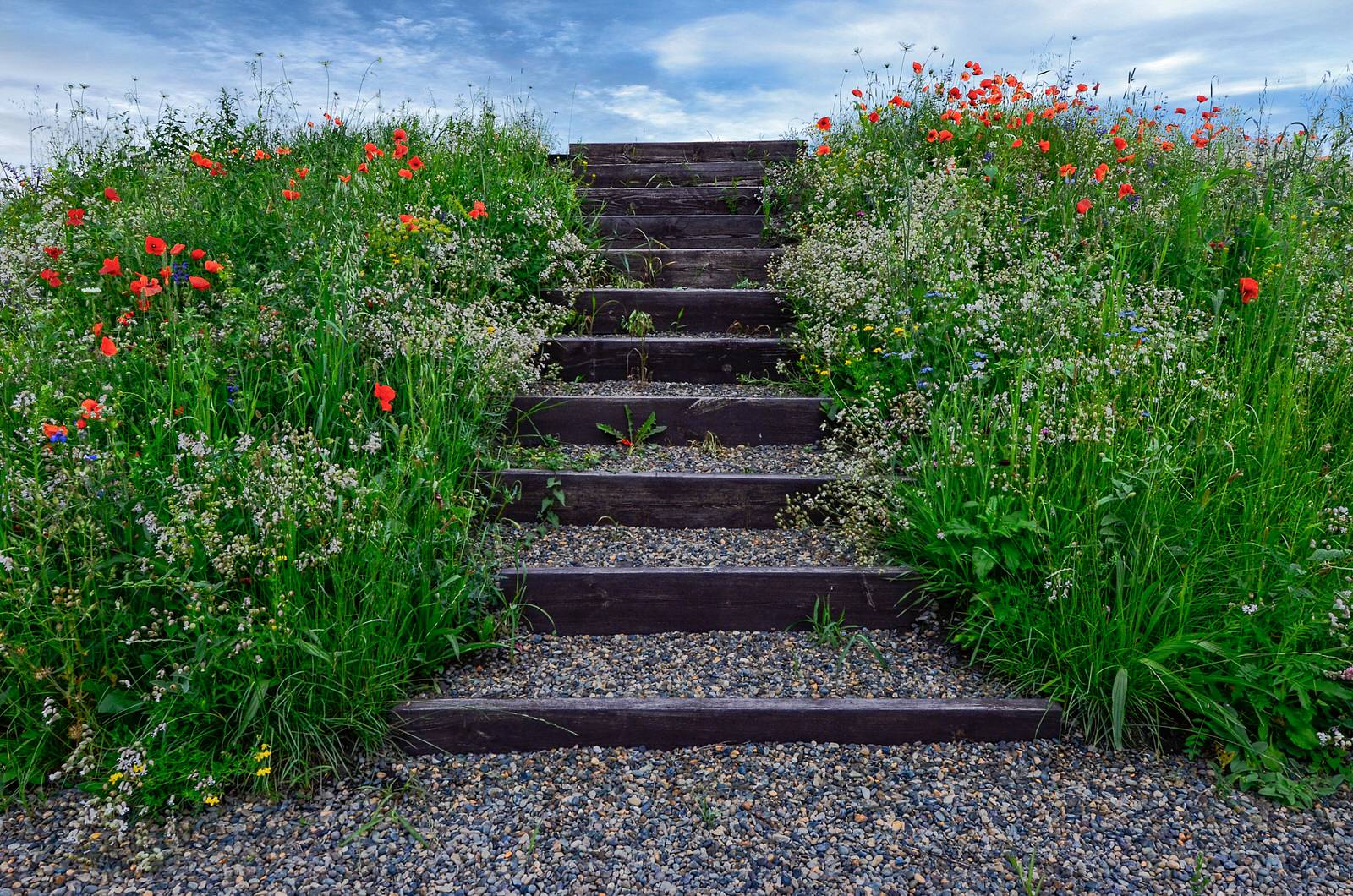 Алтайская усадьба