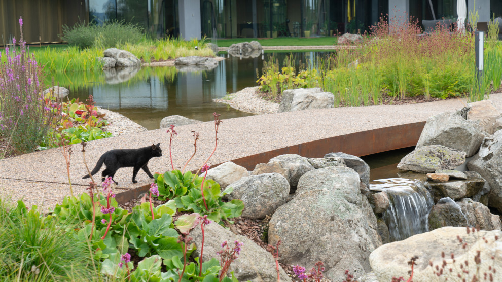Природный сад. Жуковка XXI век. 2017-2018 гг.