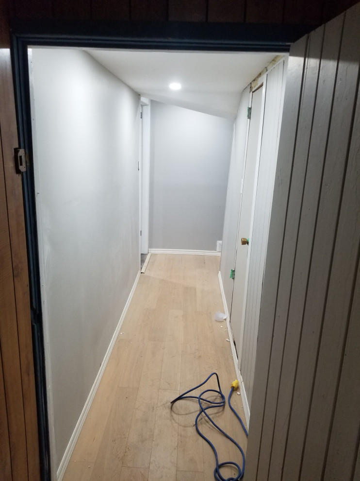 Basement Remodel- Bathroom, Laundry, and Entertainment Area