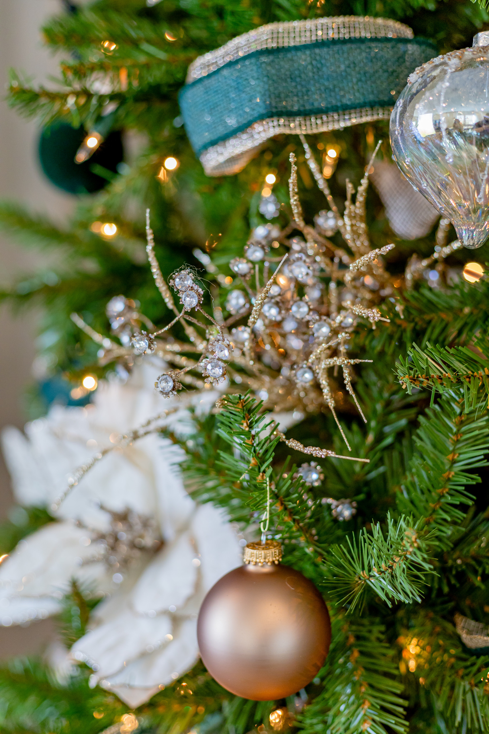 Queen Creek City Lifestyle Christmas Shoot