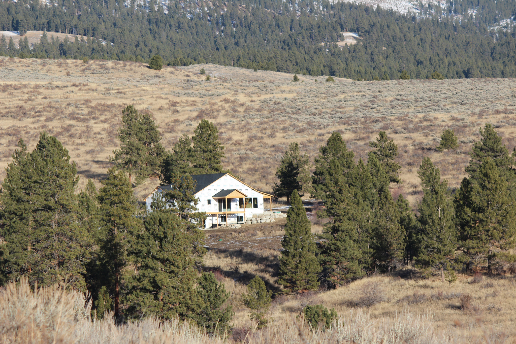 Orcutt Home