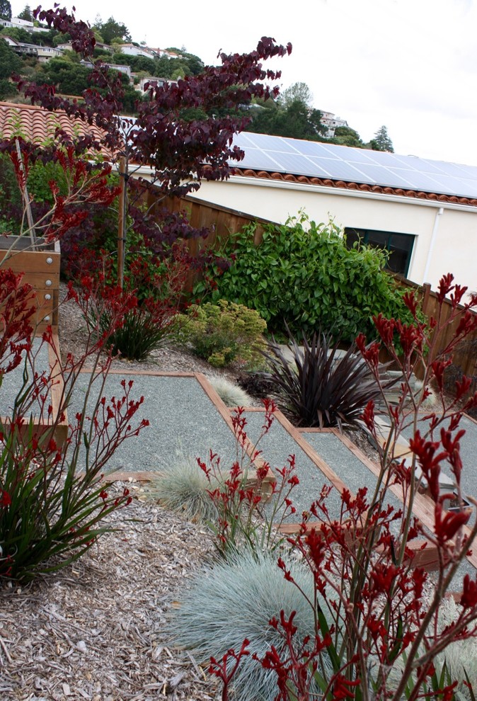This is an example of a large contemporary sloped full sun formal garden in San Francisco with mulch.