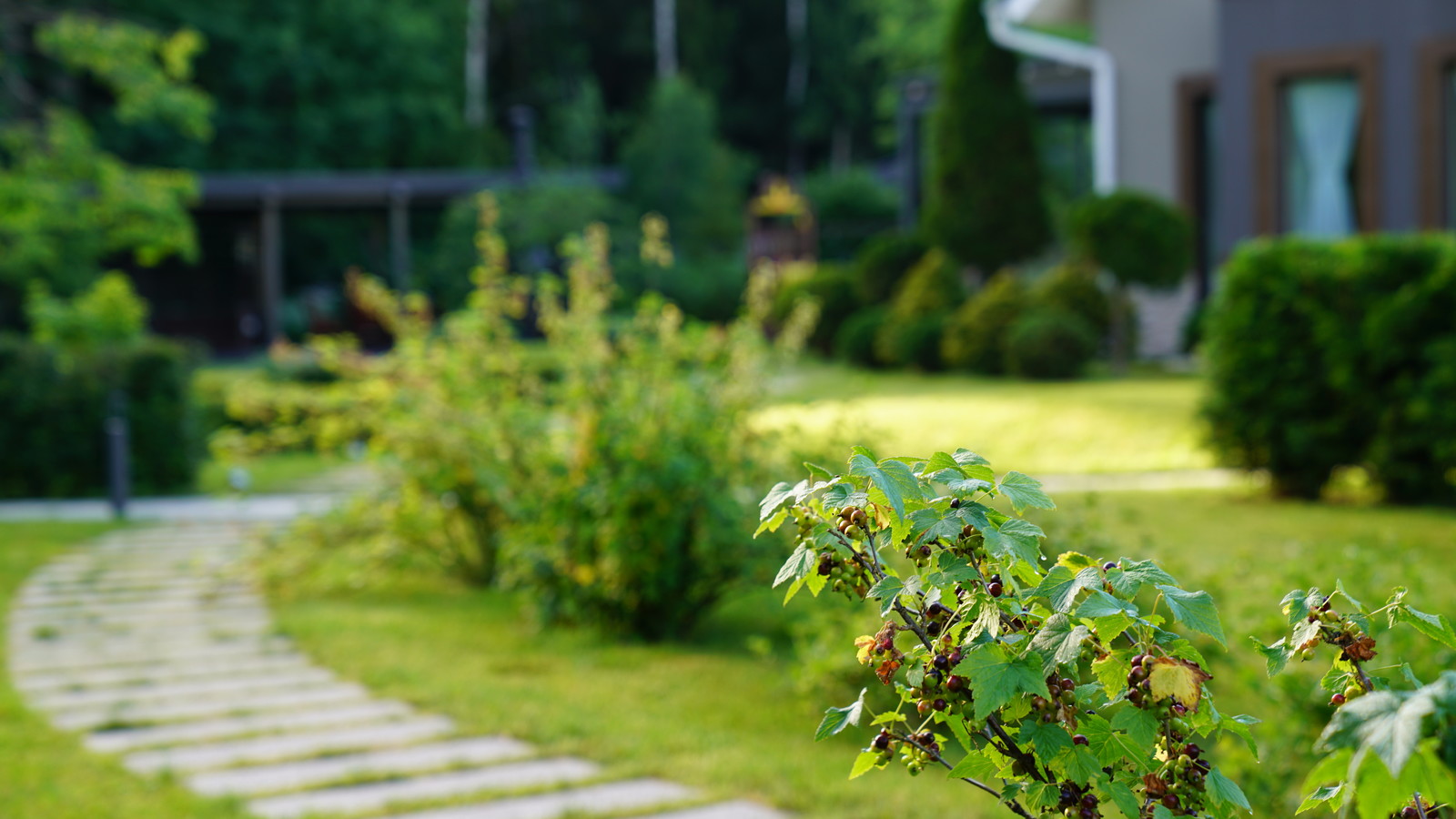 Вспоминая Нормандию КП Визендорф 2017 г