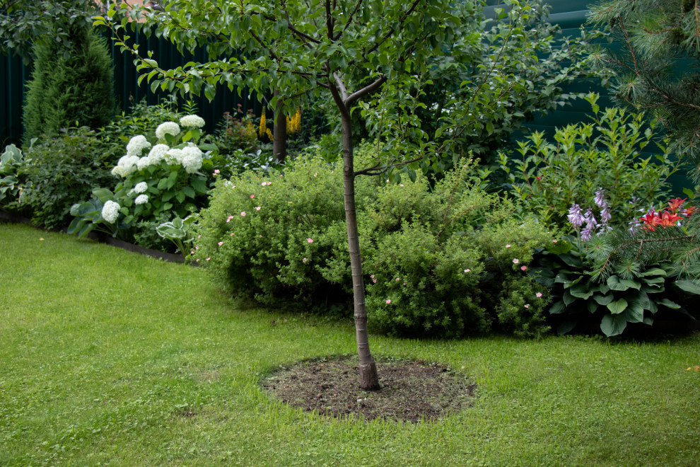 Французский садик в поселке Рыбаки Дмитровское шоссе