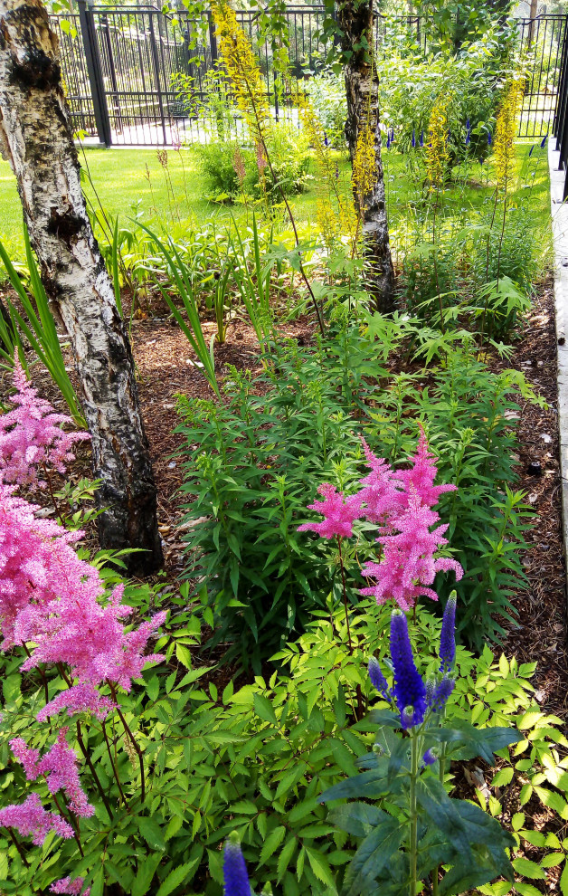 Цветники под пологом леса