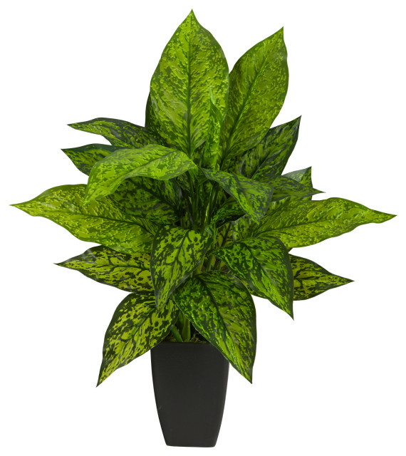 21" Dieffenbachia Artificial Plant, Black Planter Modern Artificial