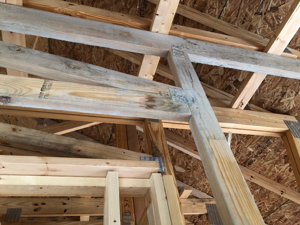 Is this mold on framing lumber?