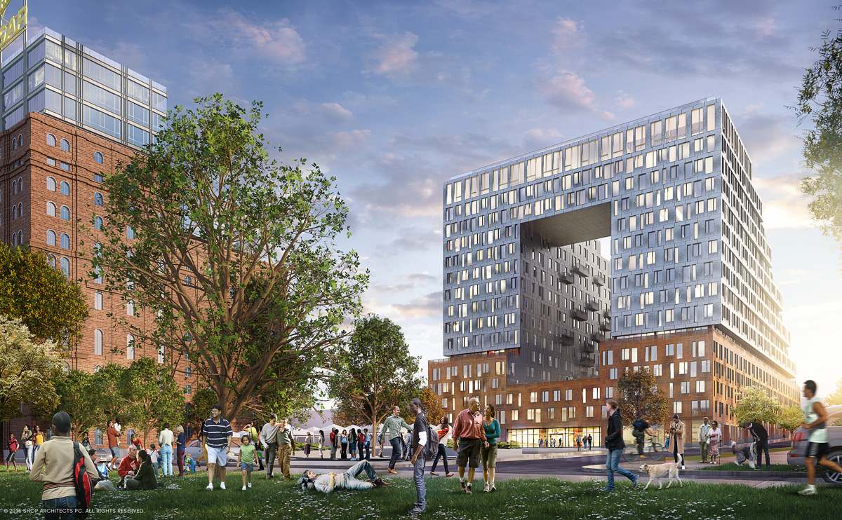 Domino - Commercial Project