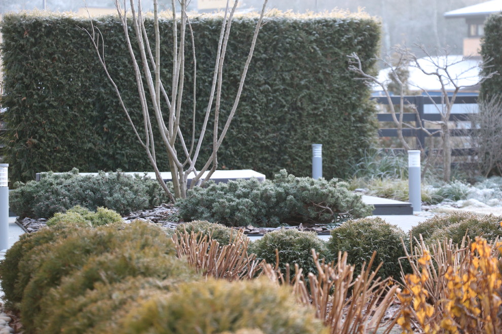 Светлогорье