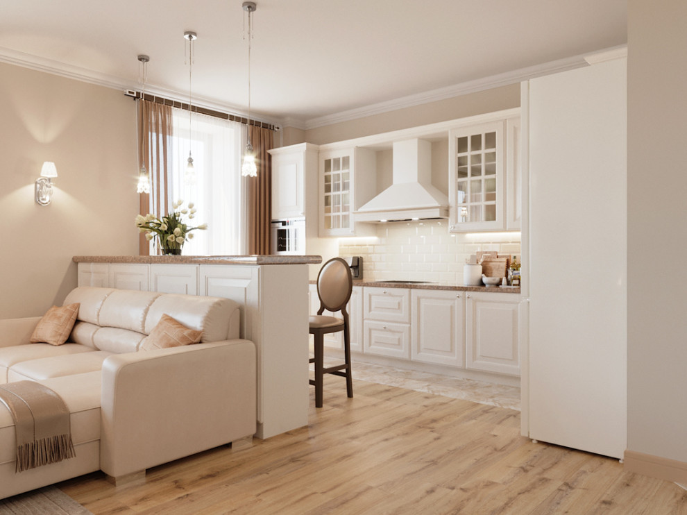 Однокомнатная квартира студия в классическом стиле для студентки