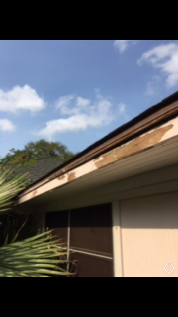 Fascia & Soffit Repairs