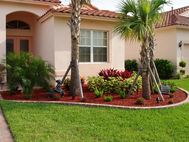 This is an example of a mid-sized tropical front yard full sun formal garden for summer in Miami with mulch.