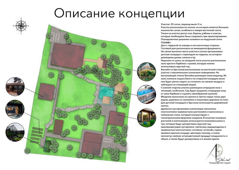 Солнце в кронах