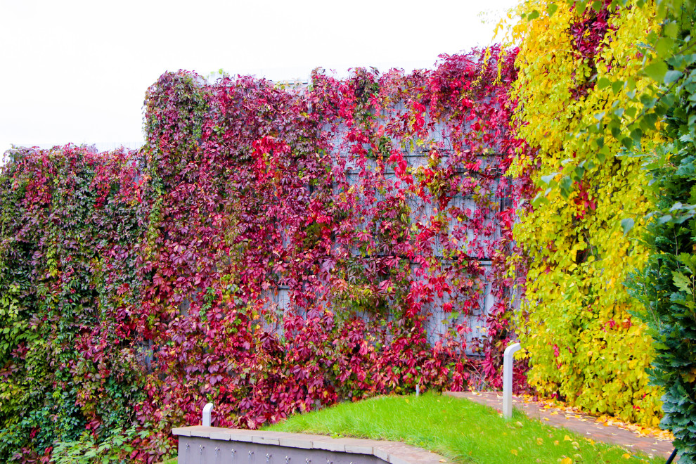 Лобаново, 2012-2021 гг.