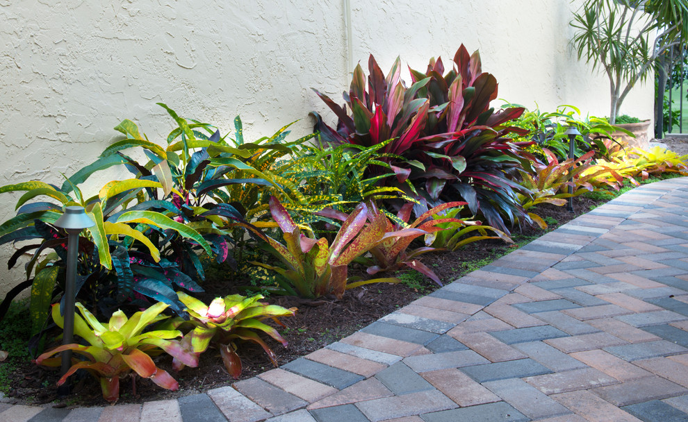 Inspiration for a small tropical courtyard partial sun garden in Miami with concrete pavers.