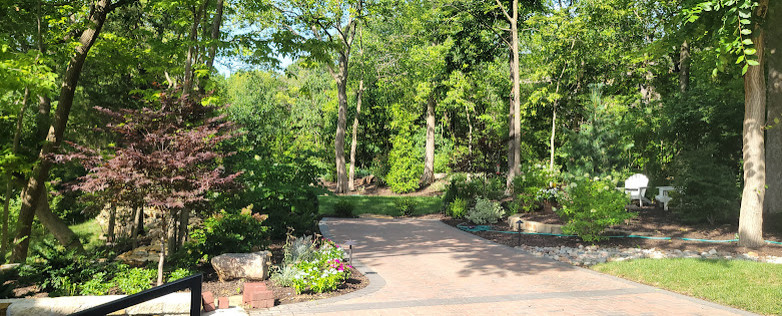 Woodland Restoration