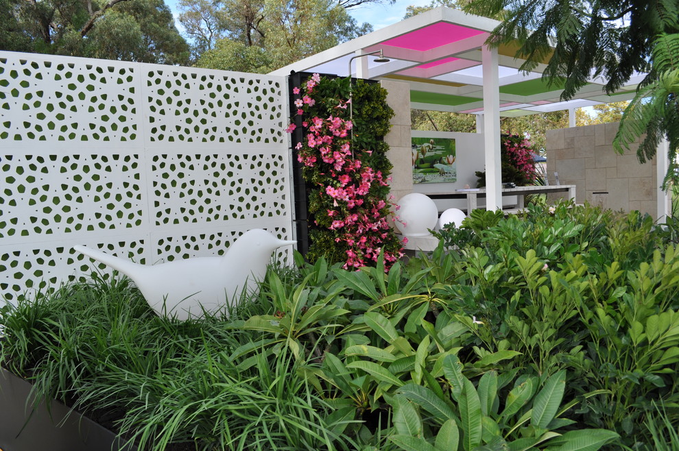 Photo of a small contemporary courtyard patio in Perth with a vertical garden.