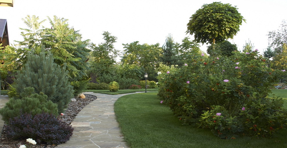 Витро Кантри