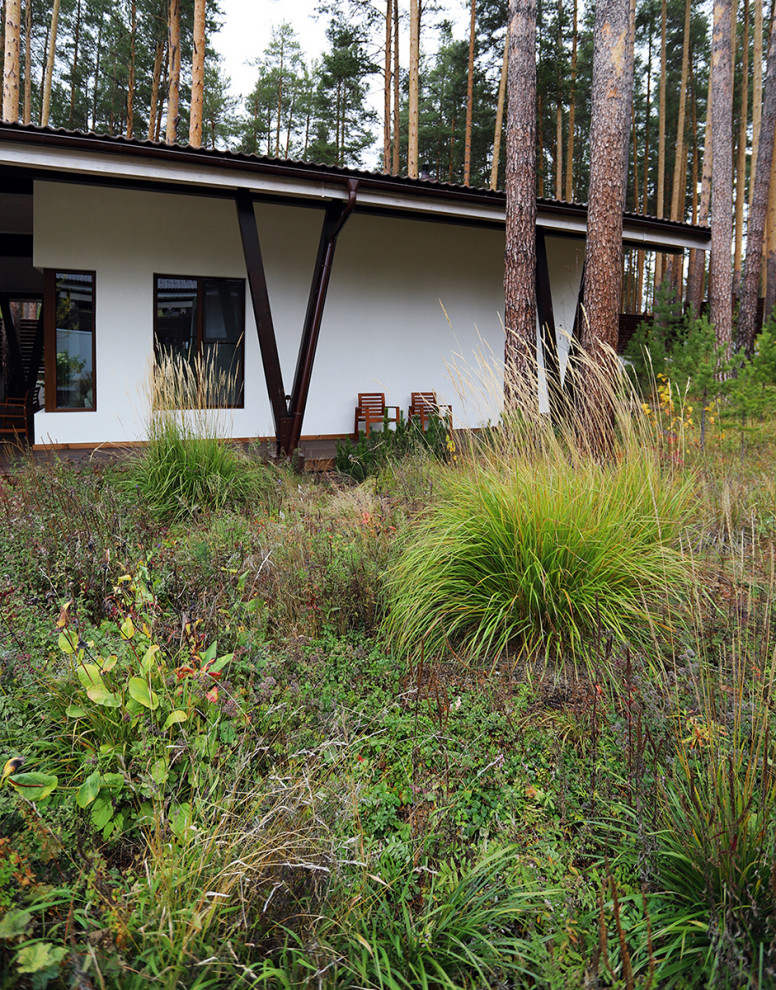 Лес и огород