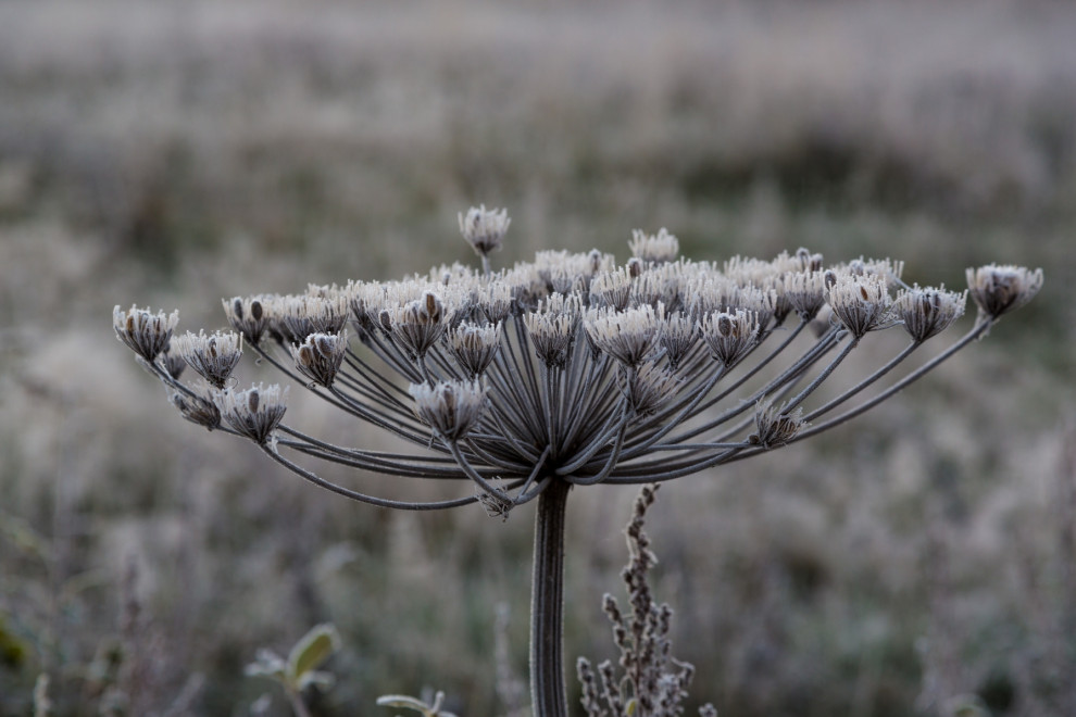 Пушкинские горы