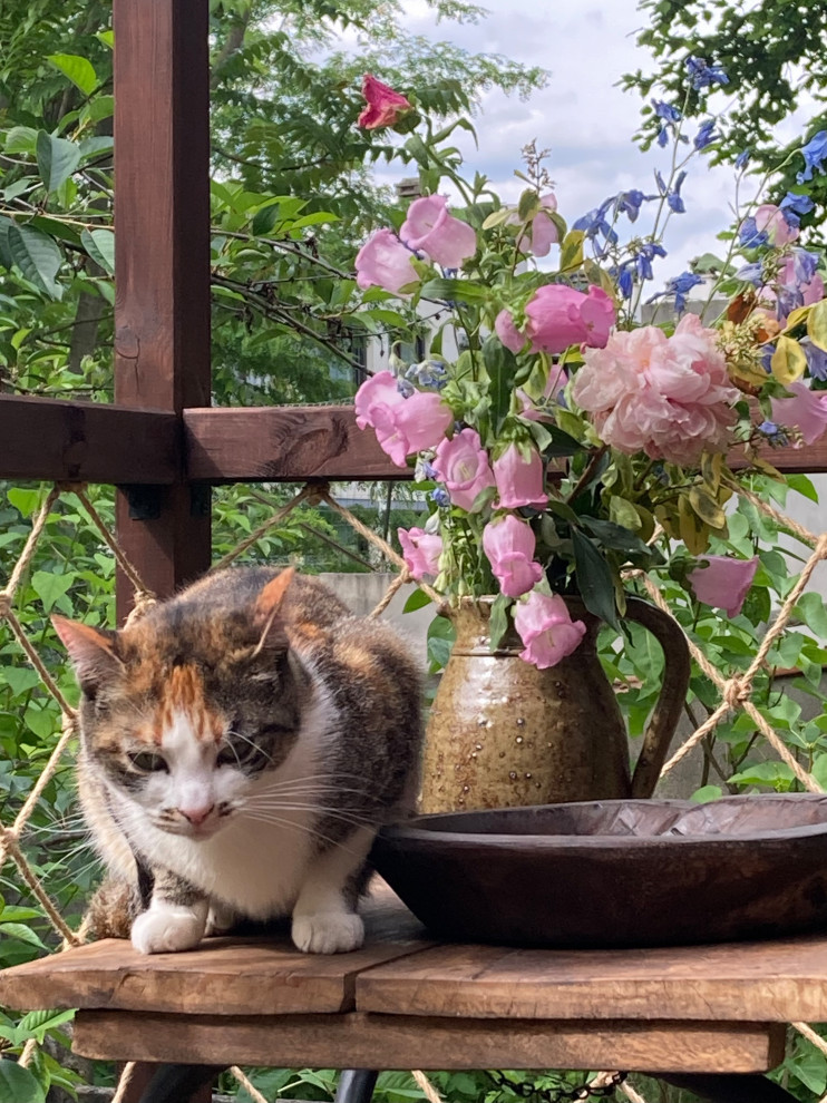 Rénovation d'une terrasse Wabi-Sabi